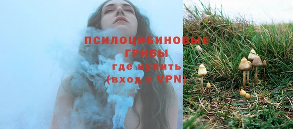 МДПВ Абинск